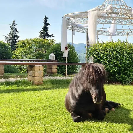 Guardastelle Bed & Breakfast *