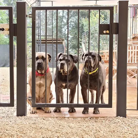 Guardastelle 3* Monte San Pietro