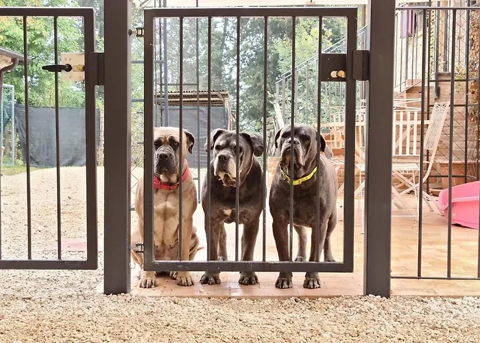 Guardastelle 3* Monte San Pietro